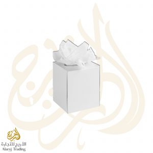Cube Facial Tissue