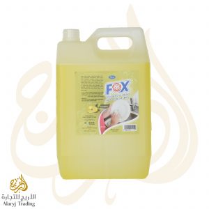 Liquid Dish Wash